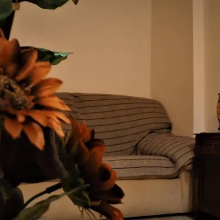 Casa D'avó- Serra Da Estrela Casa de Férias